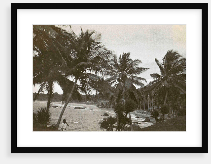 Ceylon, palm beach Mount Levinia in Colombo Sri Lanka by Anonymous