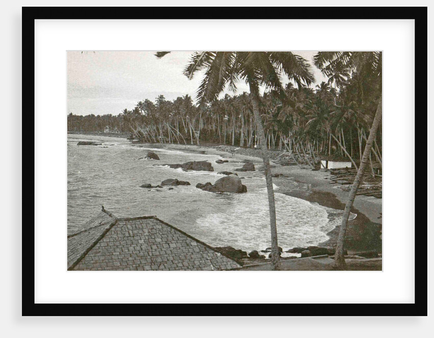 Ceylon, palm beach Mount Levinia in Colombo, Sri Lanka by Anonymous