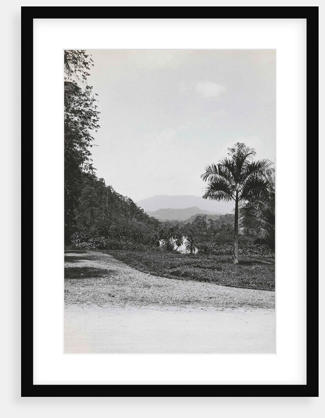 Batang Toro, Loeboek Rajah, Indonesia by Anonymous