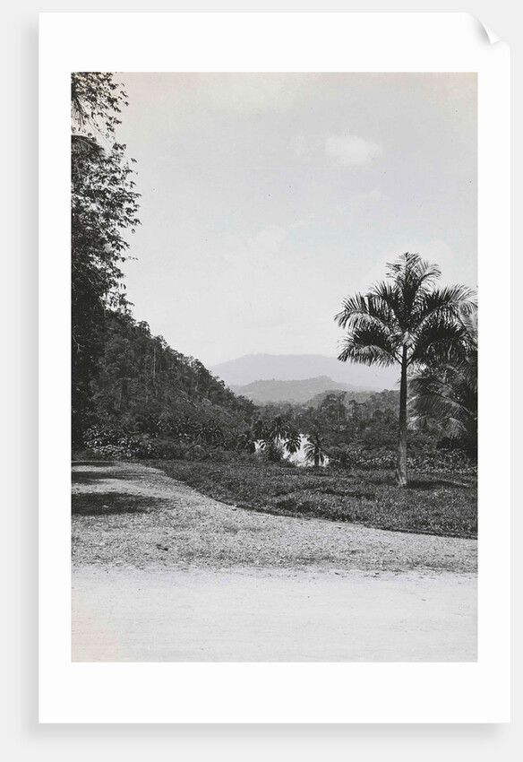 Batang Toro, Loeboek Rajah, Indonesia by Anonymous