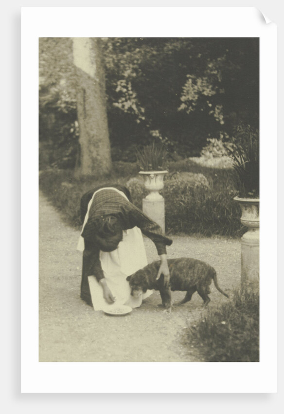 Woman with a dog in a garden by Anonymous
