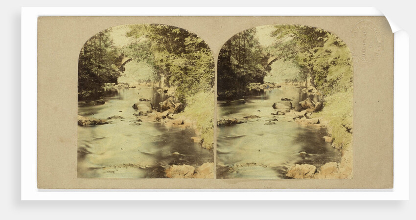 Dargle Bridge, County Wicklow, Ireland by The London Stereoscopic Company