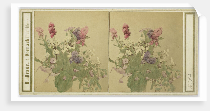 flower still life by Adolphe Braun