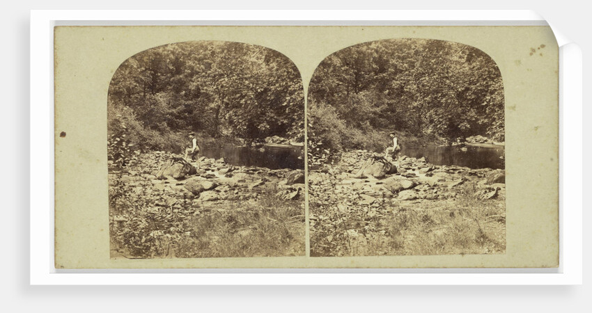 View in the Devil's Glen, County Wicklow, Ireland by Anonymous