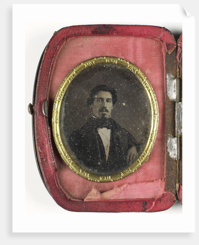 portrait of a young man by Anonymous