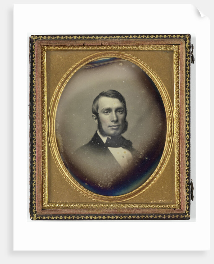 Portrait of a man with sideburns by John Adams Whipple
