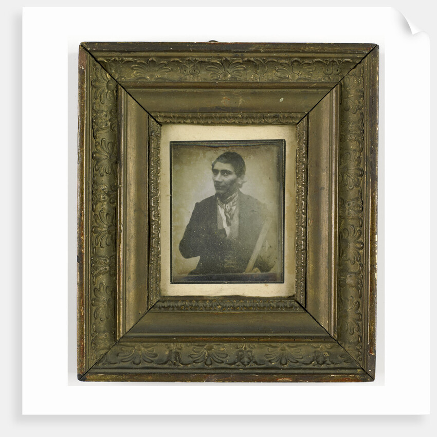 Portrait of a Man by Anonymous