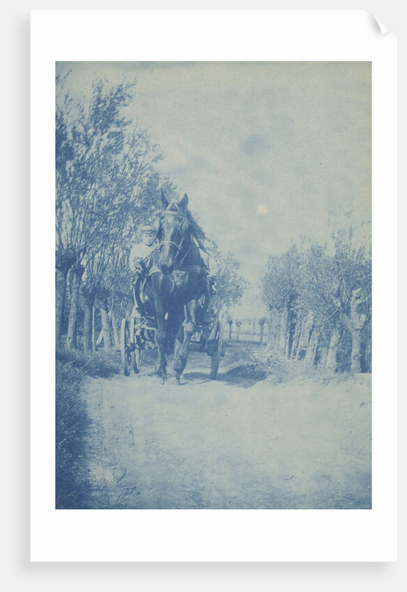 Young man in horse cart by Anonymous