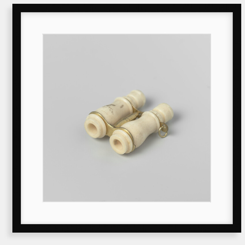 Two micrographs of nudes in beau, small looking glass by Anonymous