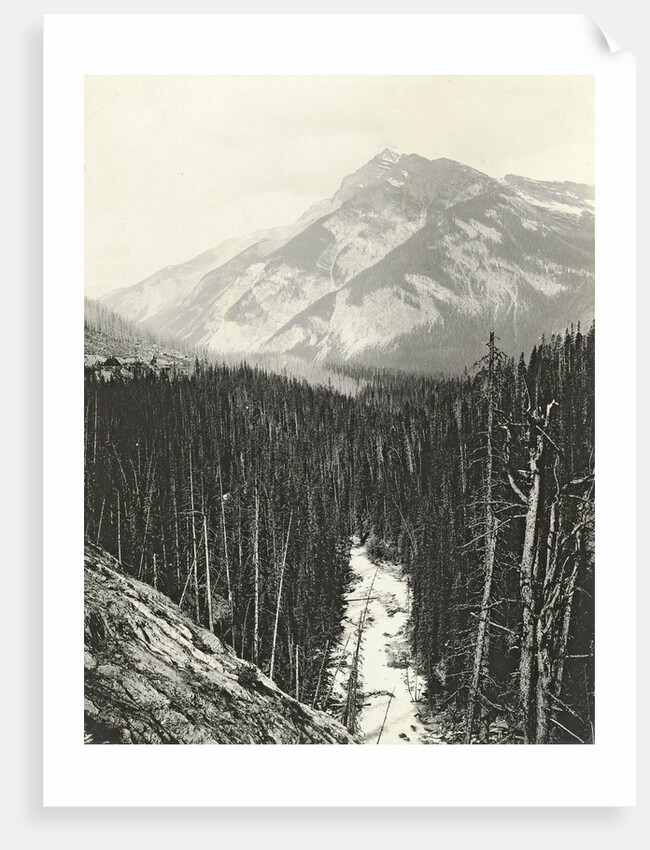 View over Kicking Horse Canyon by William Notman