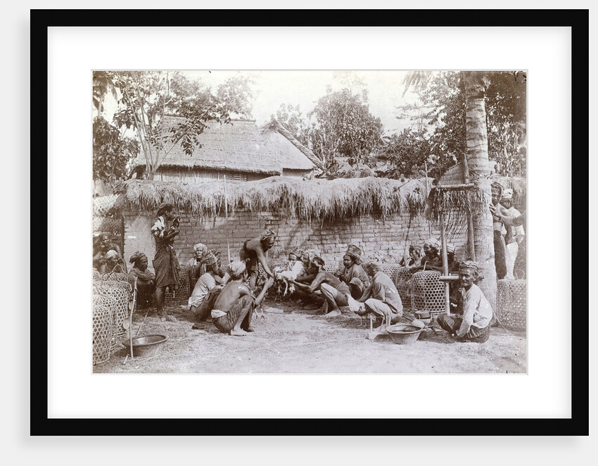 Cockfight in Bali, Indonesia by Anonymous