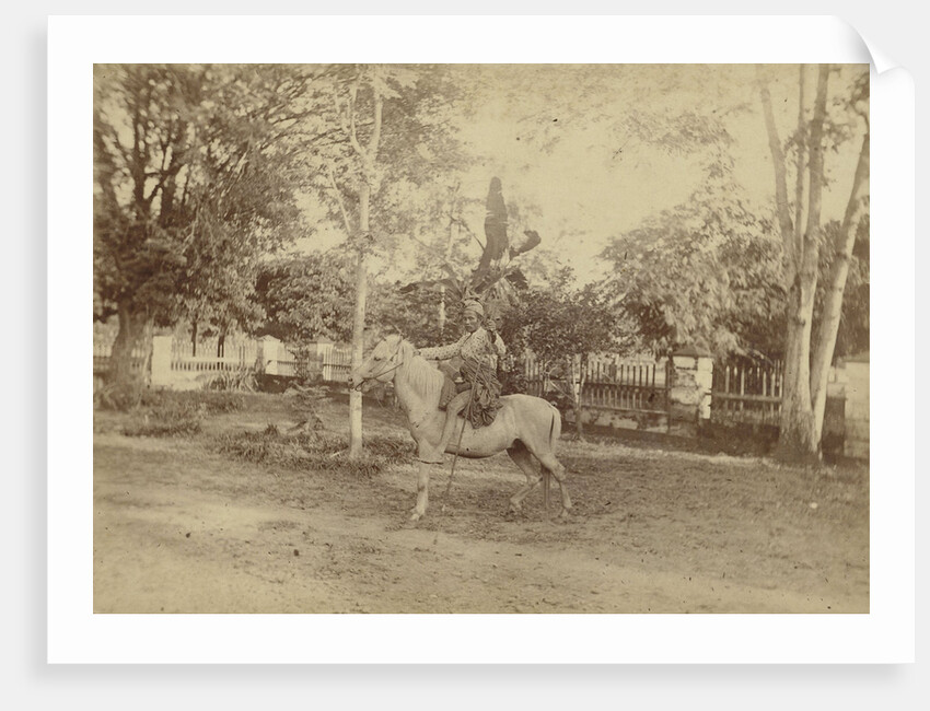Buginese hunter in traditional clothes horse by Anonymous