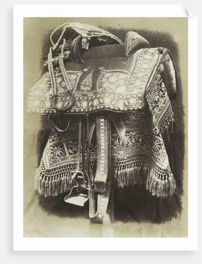 Embroidered Saddle by Hugh Owen