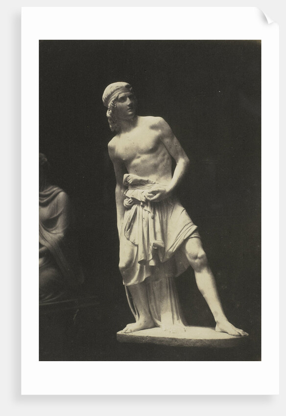 David. (Marble) Fraccaroli by Anonymous