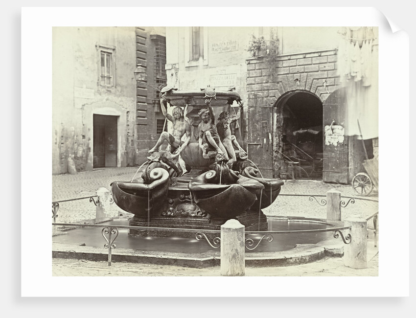 Fontana delle Tartarughe by Anonymous