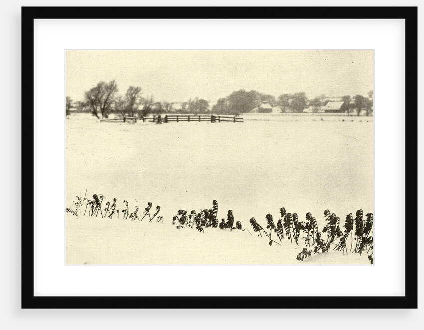 Snowy Landscape by Peter Henry Emerson