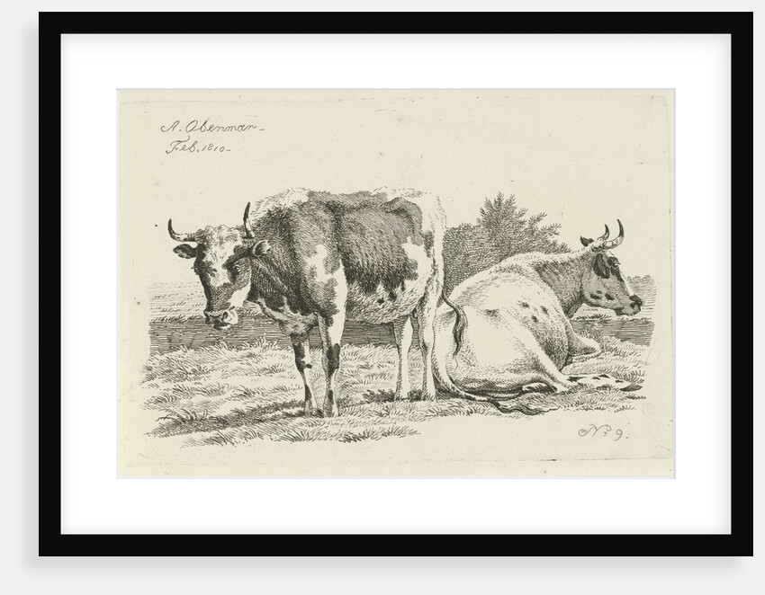 Upright and lying cow by Anthony Oberman