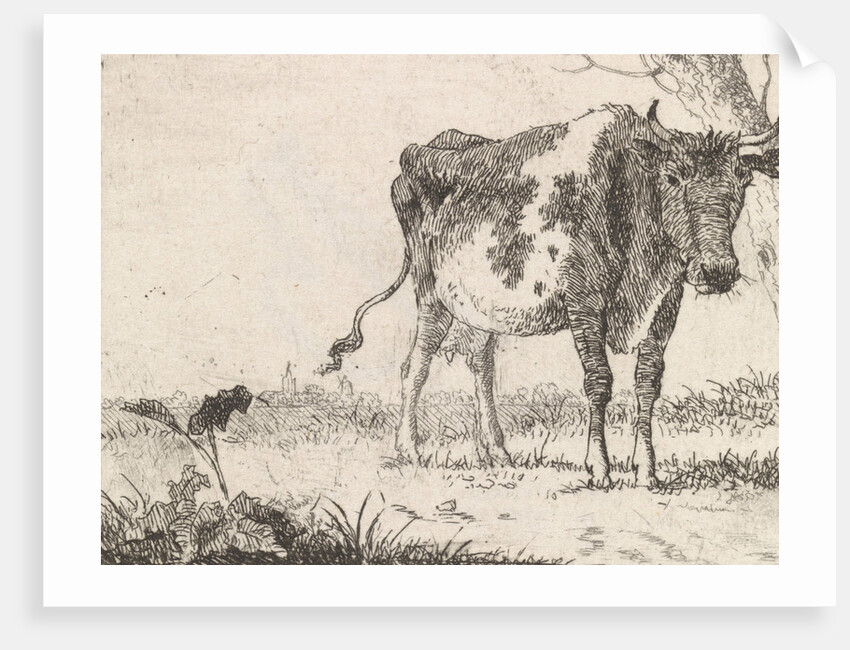 Cow standing in pasture by Johannes Christiaan Janson