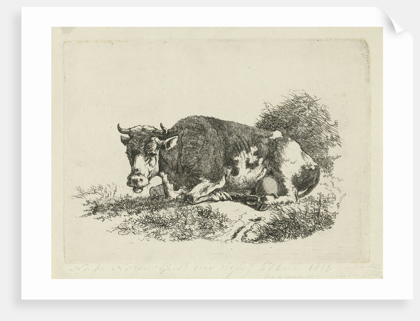 lying Cow by Jan Kobell III