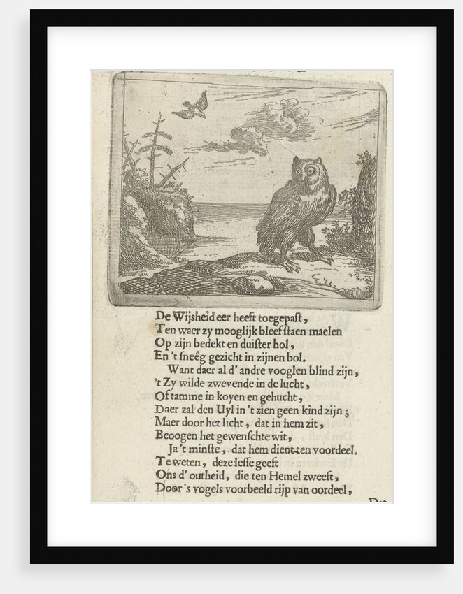 Owl in an open landscape by Arnold Houbraken