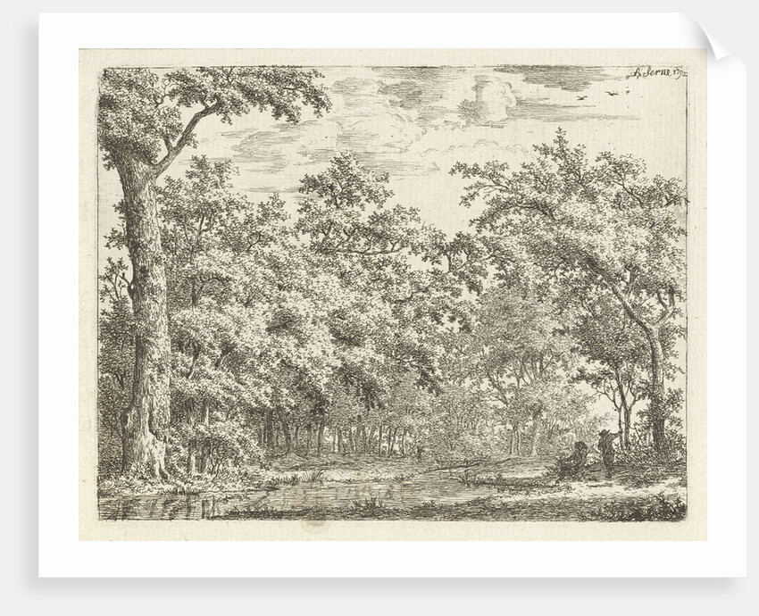 Two figures near the water in the wood by Adrianus Serné