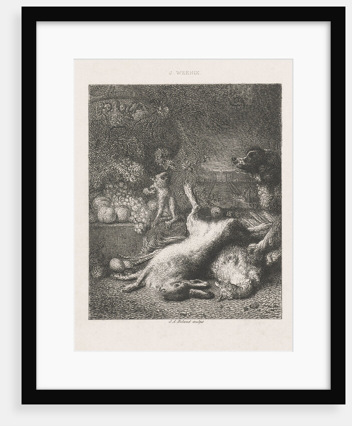 A monkey and a dog and fruits by Johannes Arnoldus Boland