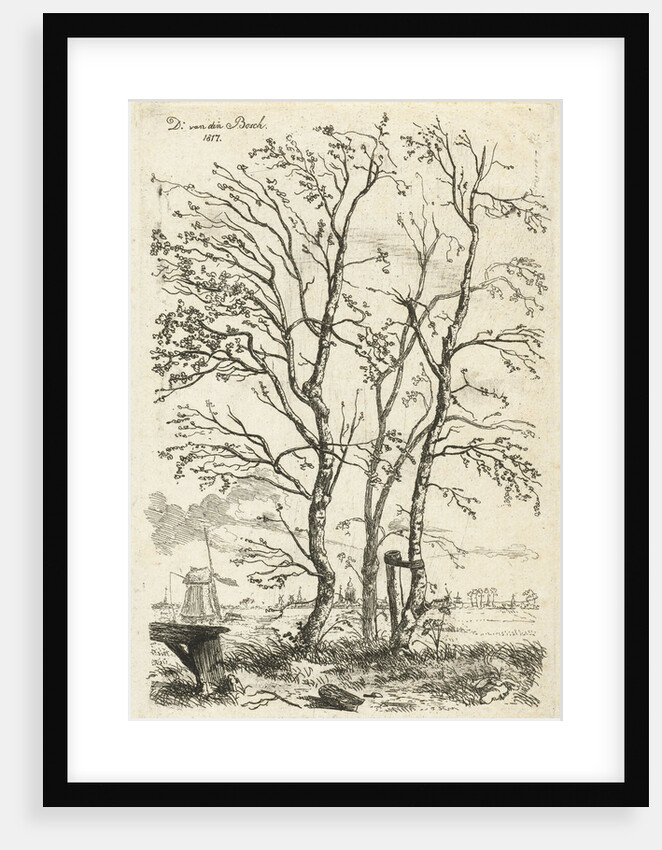 Three birch trees by D. van den Bosch