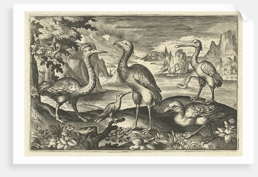 Five birds including spoonbill by Claes Jansz. Visscher II