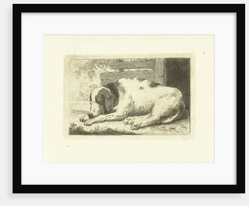 Sleeping dog by Johannes van Cuylenburgh