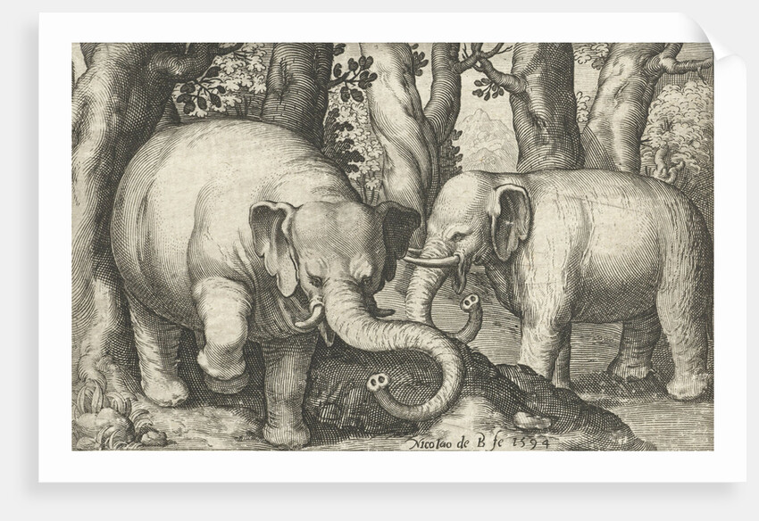 Two elephants by Assuerus van Londerseel