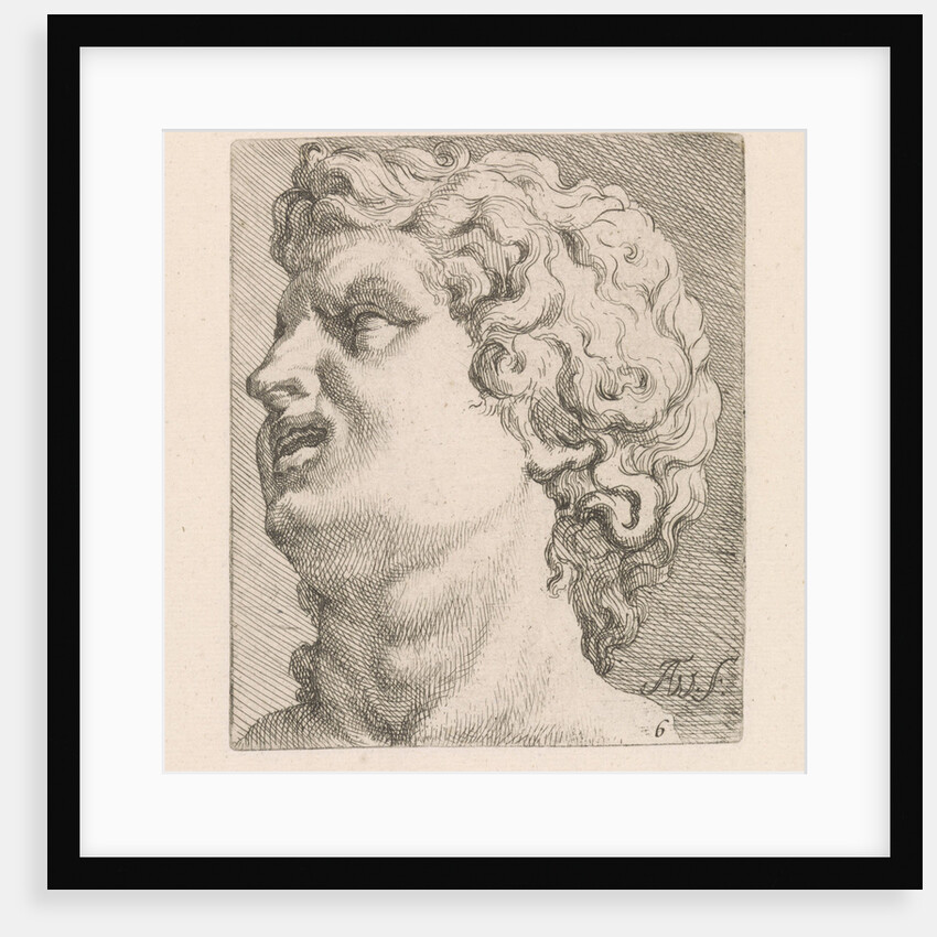 Head of one of the sons of Laocoön, side view by Augustinus Terwesten I