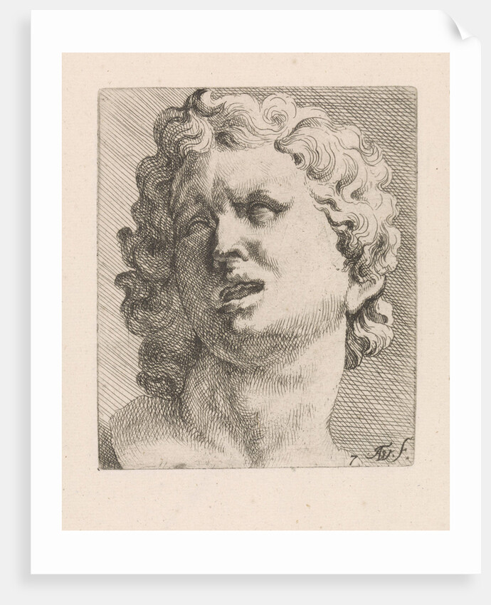 Head of one of the sons of Laocoön, front view by Augustinus Terwesten I