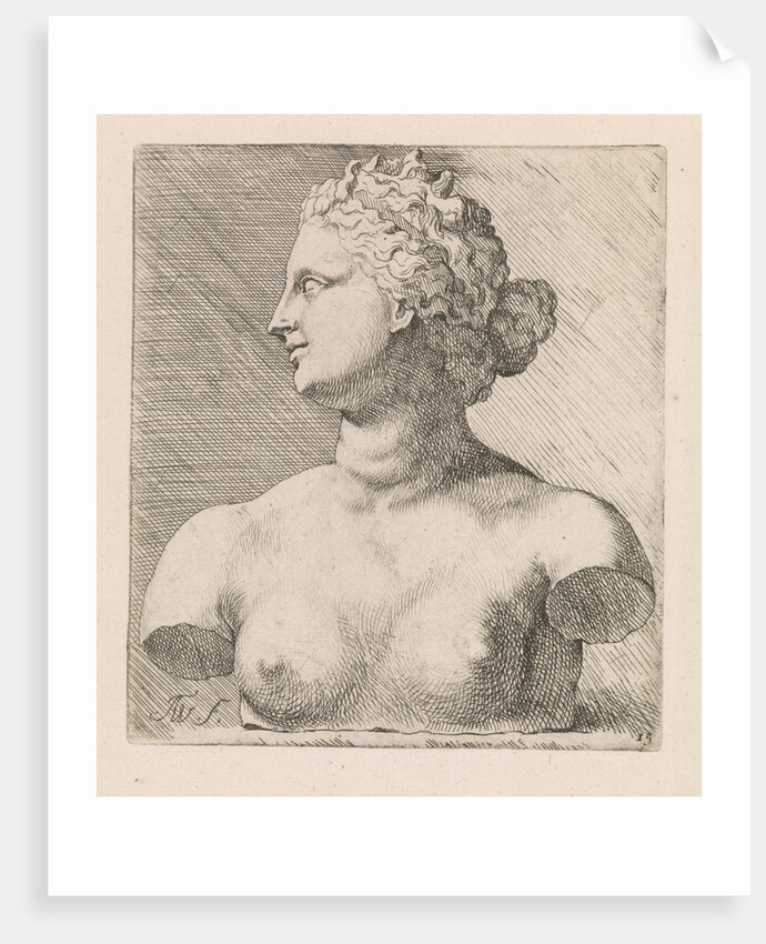 Bust of Venus de 'Medici, in profile to the left by Augustinus Terwesten I