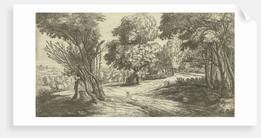 Forest Landscape by Lucas van Uden