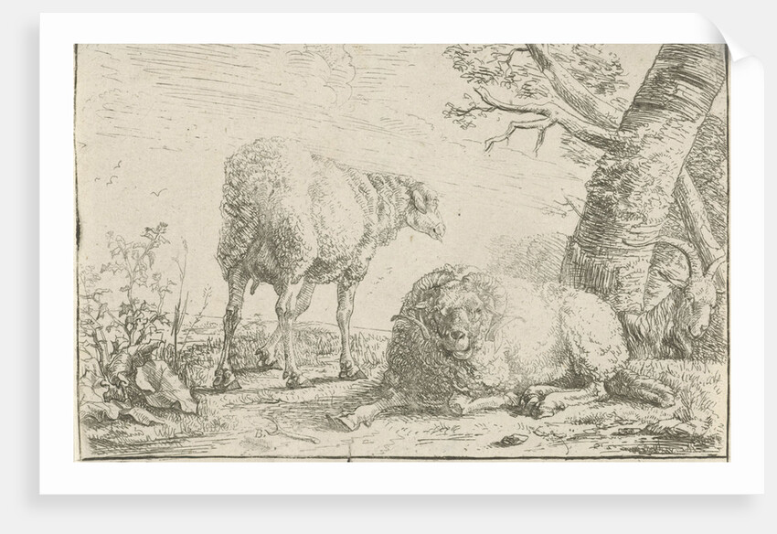 Two sheep and a goat by Barend Graat