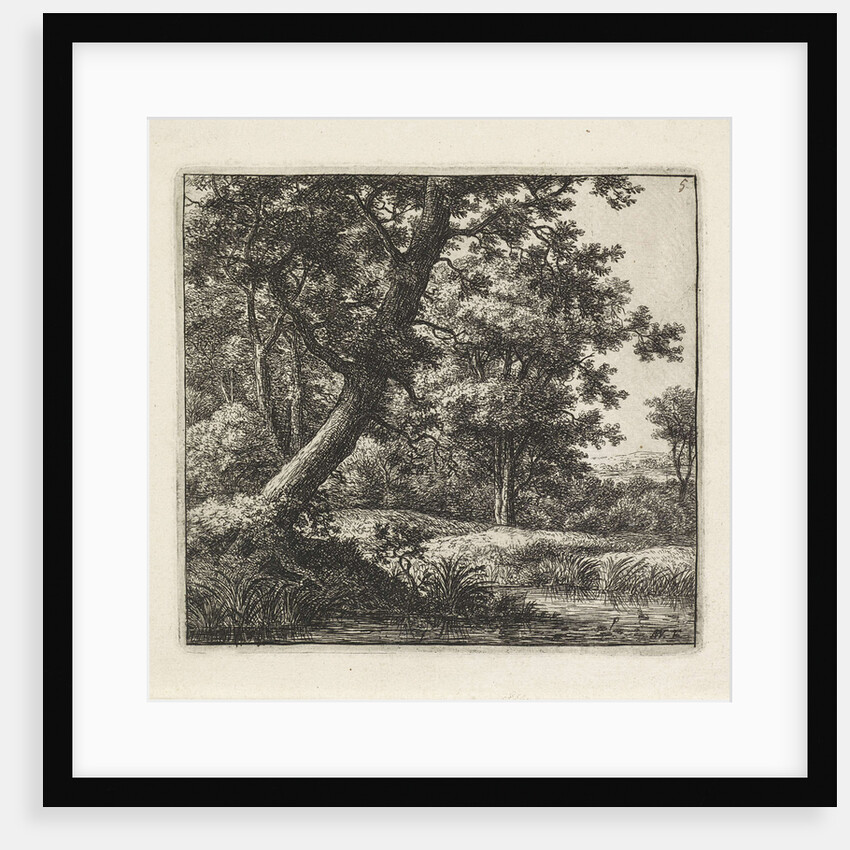 Overhanging tree by Anthonie Waterloo