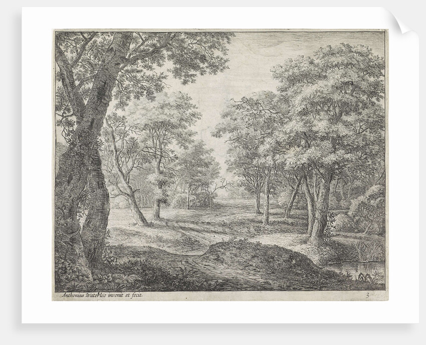 Forest road by Anthonie Waterloo