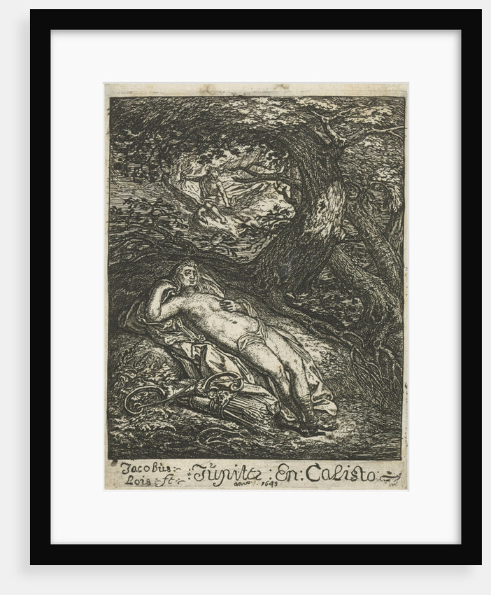 Jupiter and Callisto by Jacob Lois