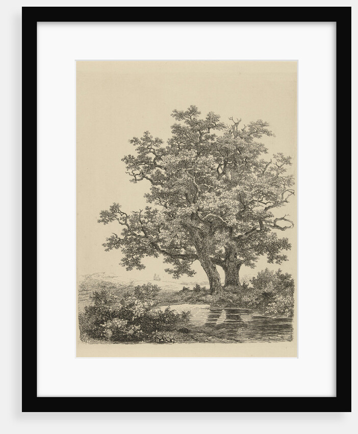 Two oaks on a small lake by Remigius Adrianus Haanen