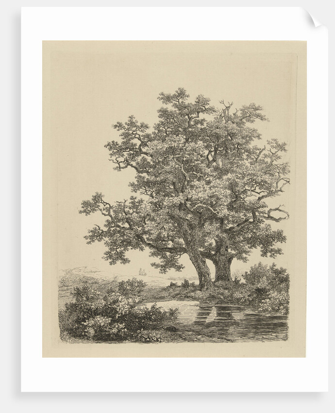 Two oaks on a small lake by Remigius Adrianus Haanen