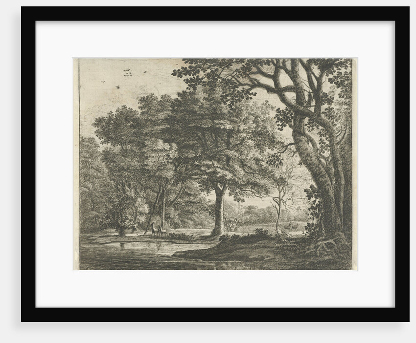 Deer in The Hague Forest by Roelant Roghman