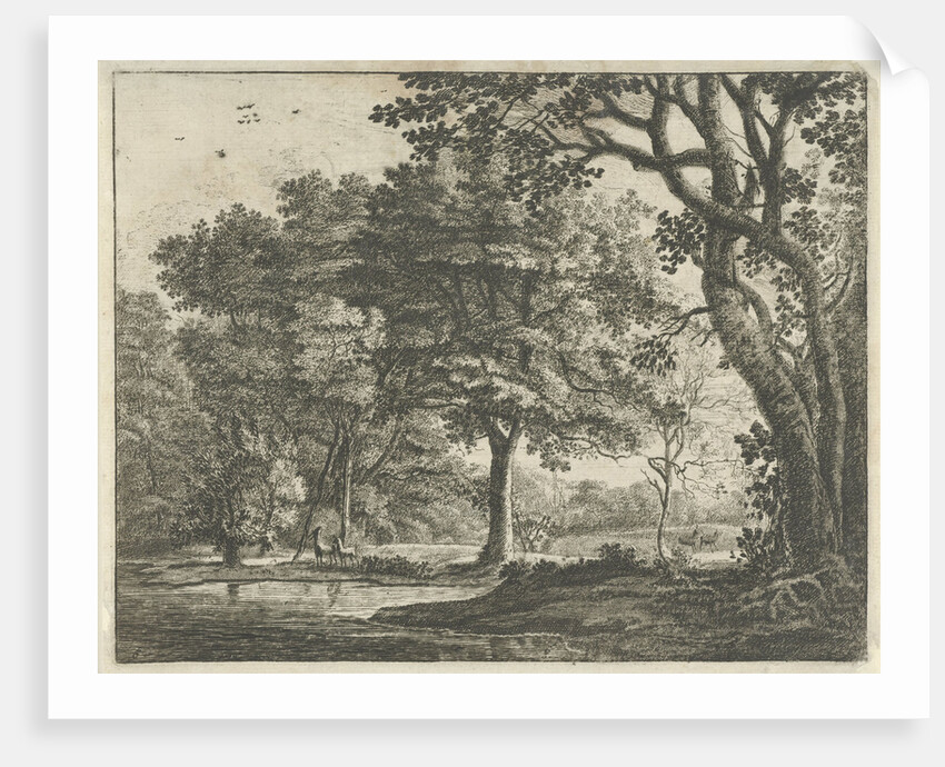 Deer in The Hague Forest by Roelant Roghman