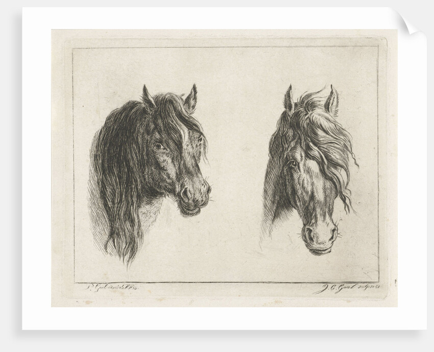 Two horse heads by Jacobus Cornelis Gaal