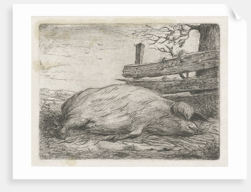 Lying boar by Jacobus Cornelis Gaal