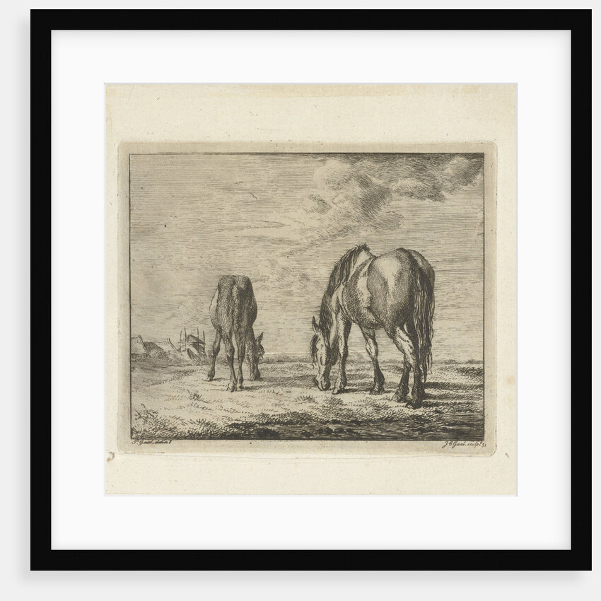 Two grazing horses by Jacobus Cornelis Gaal