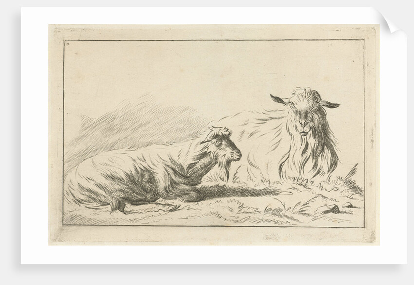 Two reclining goats by Pieter Gaal