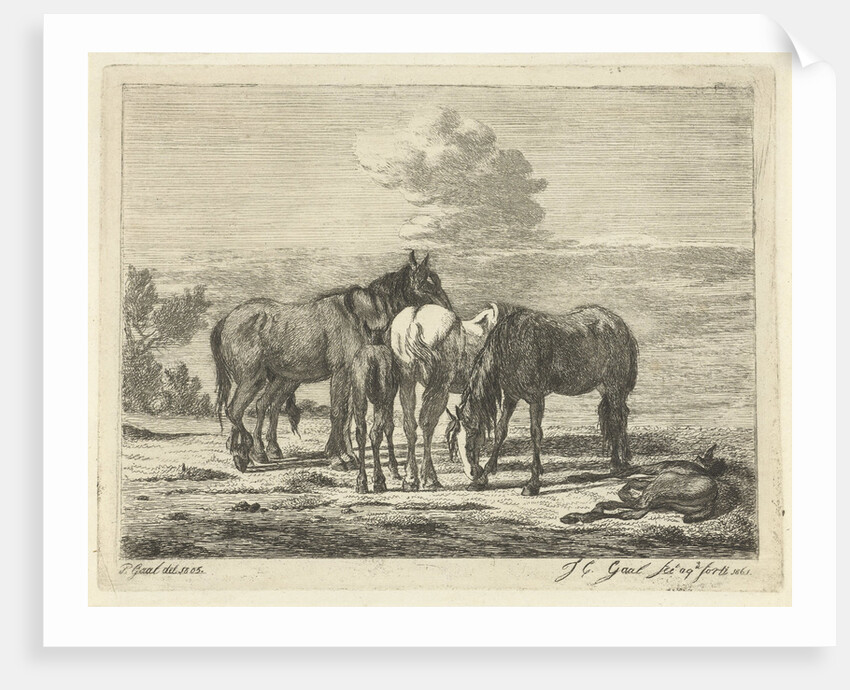 Four horses and two foals by Pieter Gaal