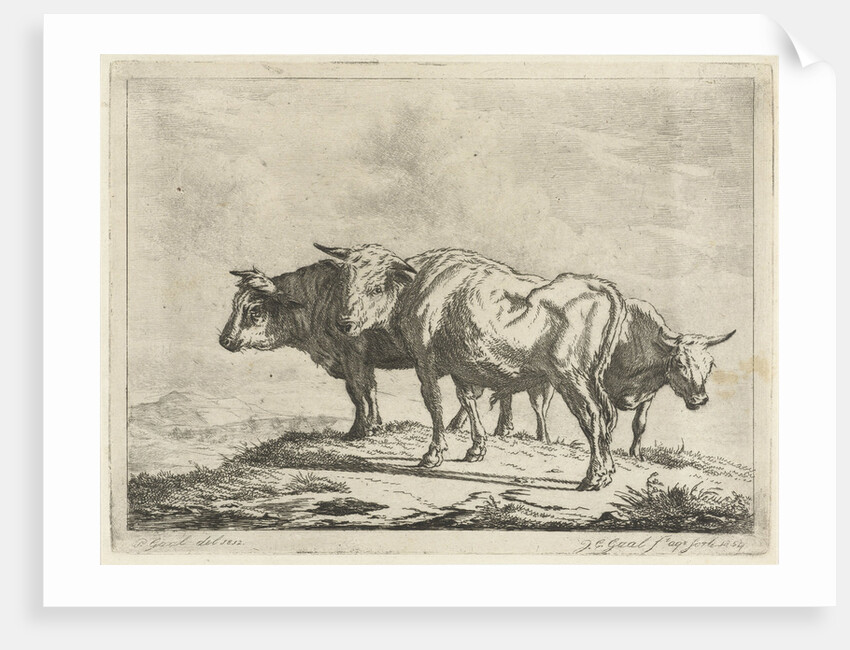 Three oxen by Jacobus Cornelis Gaal