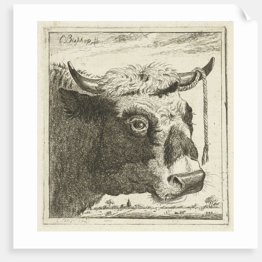 Cup bull rope hear by Cornelis Bisschop