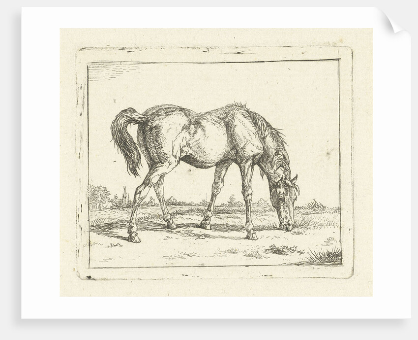 grazing horse right by Jan Dasveldt